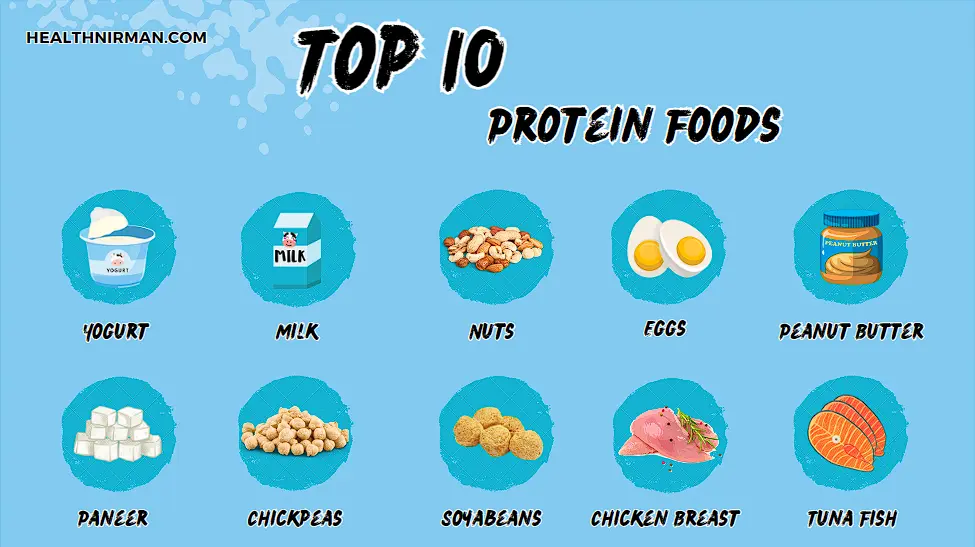 Top 10 High Protein Foods